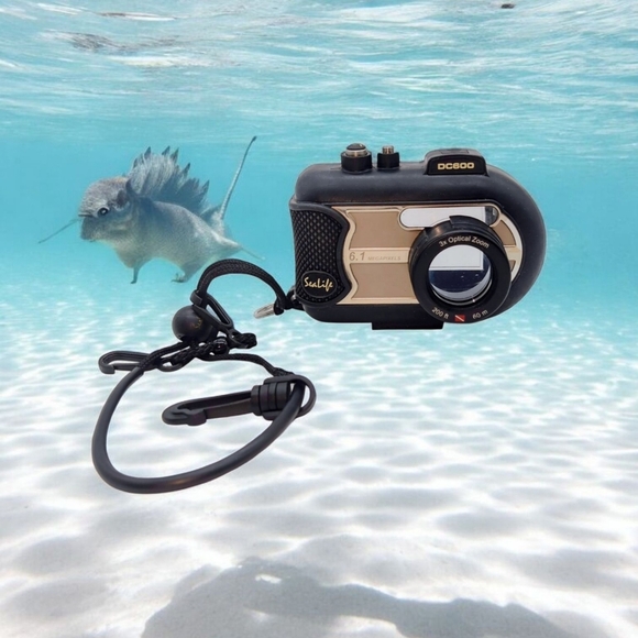 Sealife DC600 Black and Gold Dive Camera Housing NO CAMERA - Picture 1 of 8